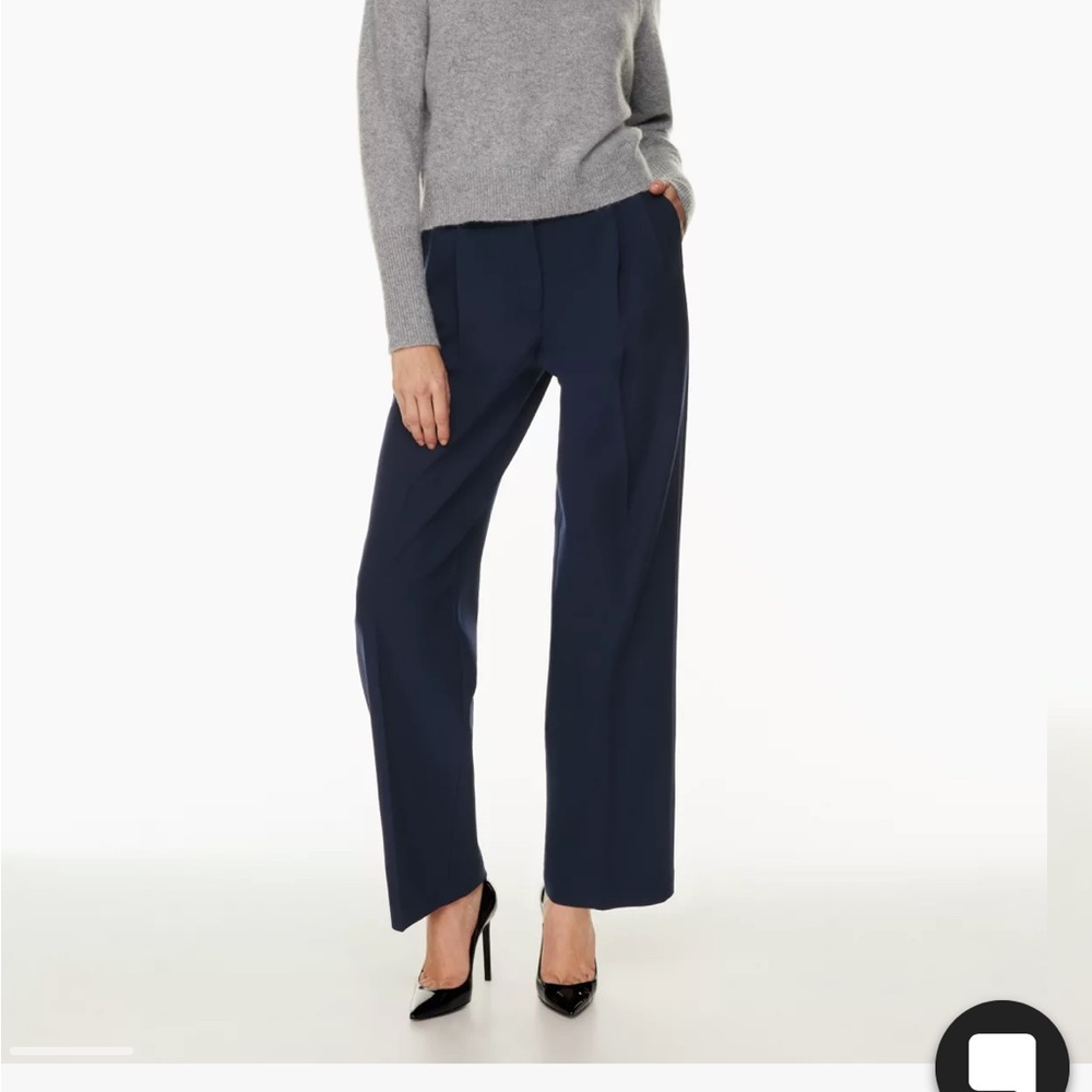 Babaton (Aritzia) pleated pant